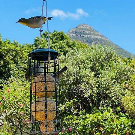 Vila Sunbird Hout Bay Exteriér fotografie