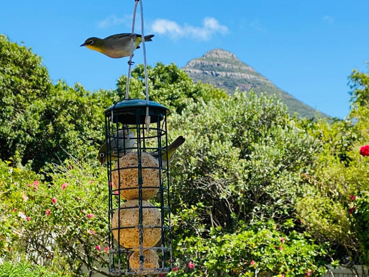 Vila Sunbird Hout Bay Exteriér fotografie