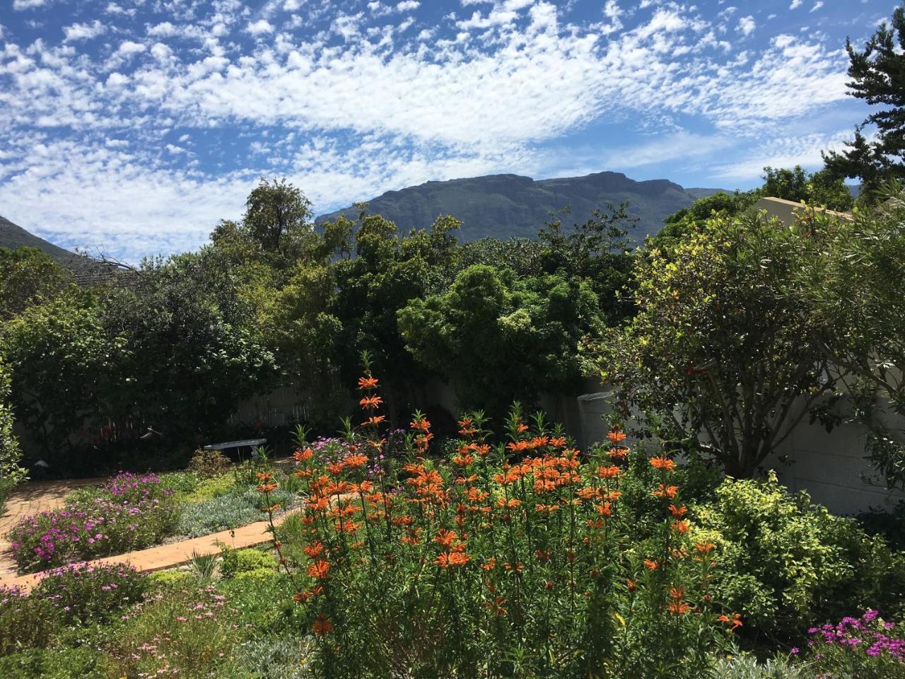 Vila Sunbird Hout Bay Exteriér fotografie